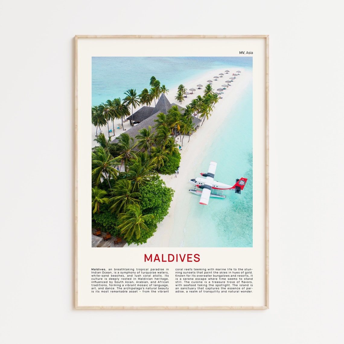 Maldives Tropical Island With Seaplane Over White Sand Beach Poster
