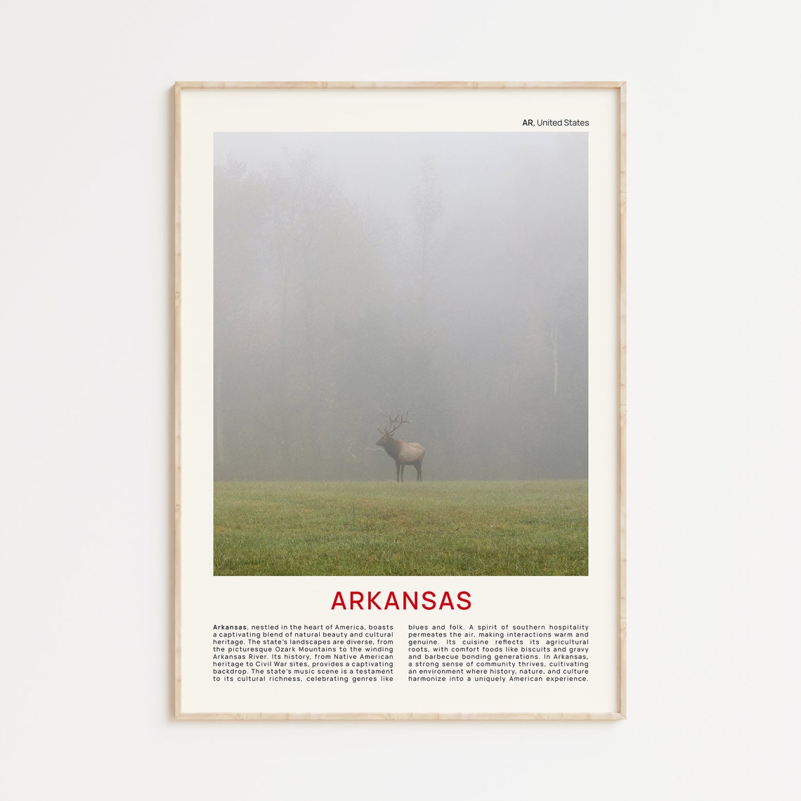 Arkansas Print Film Photo Arkansas Wall Art Arkansas Poster Arkansas Photo Arkansas Poster Print Arkansas Wall Decor Usa Poster Print