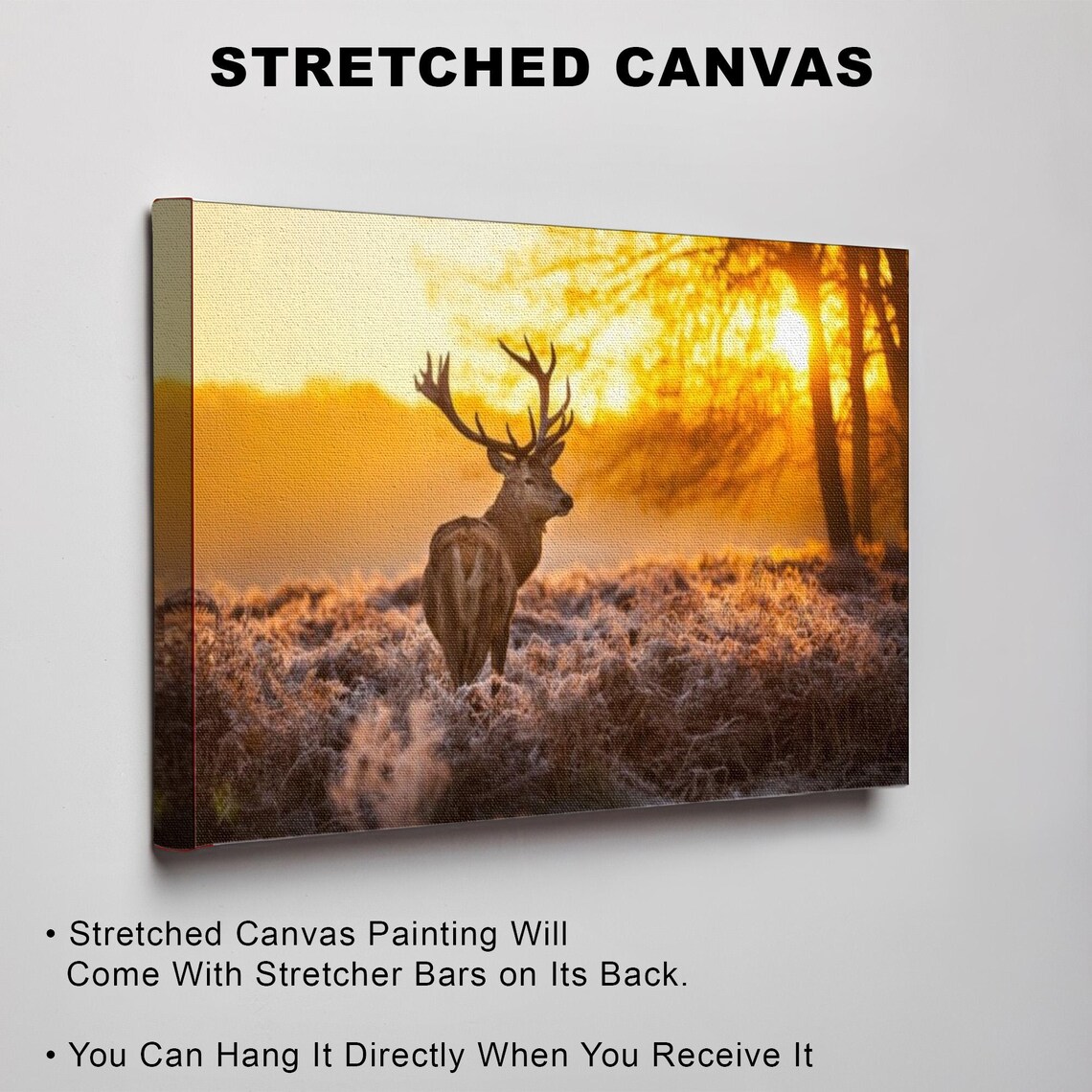 Stag Deer At Sunset In A Frosty Field Wildlife Photo Art Poster - Image 3