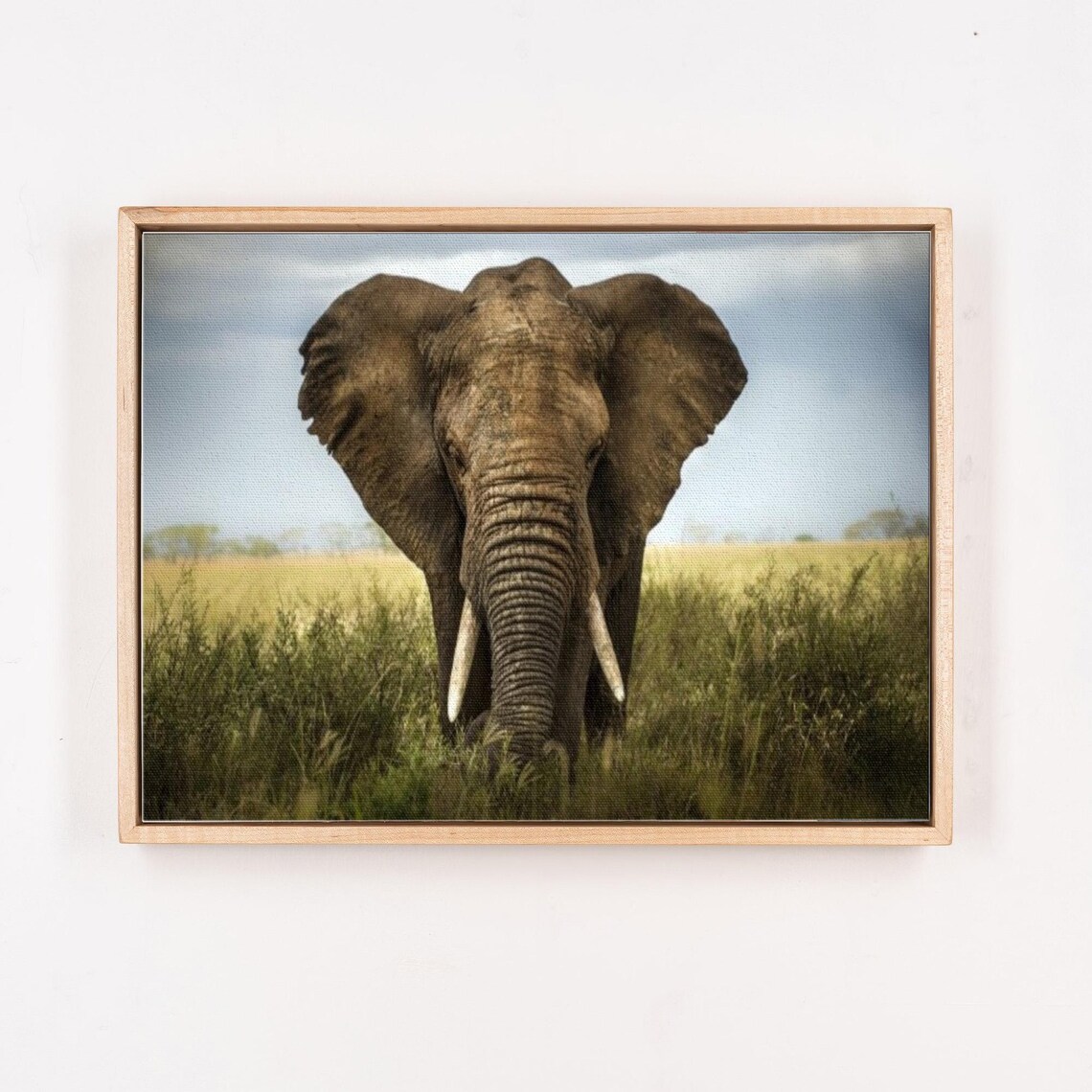 African Elephant Close-Up In The Grassy Savanna Photo Art Poster - Image 4