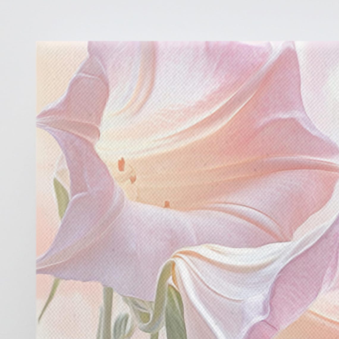 Angels Trumpet Pale Pink Blush White Blossom Botanical Poster - Image 3