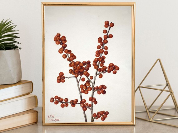 Winterberry Branch Vintage Botanical Watercolor Red Berries Poster