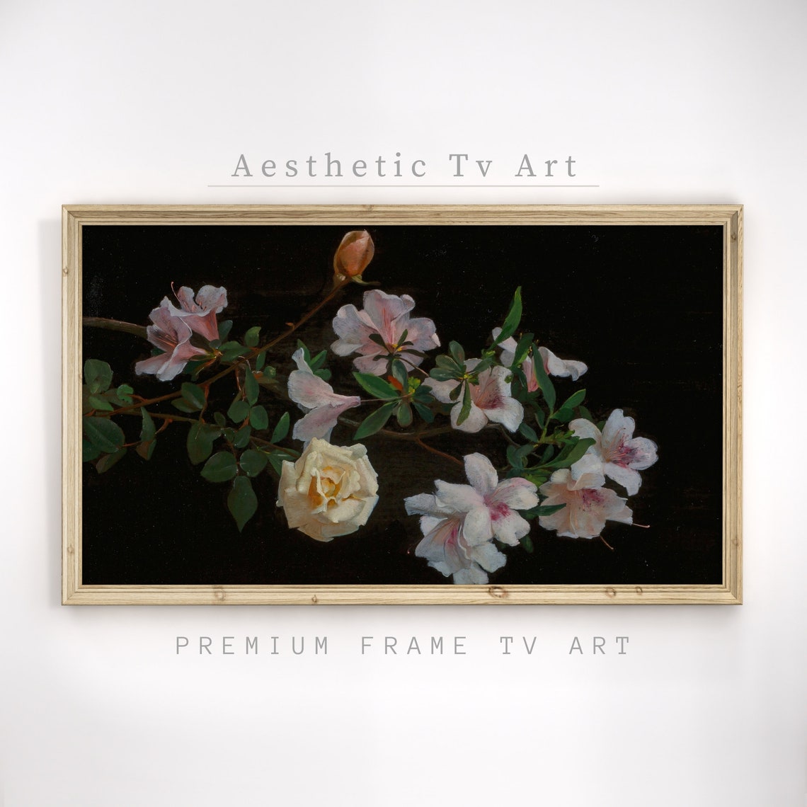 White Flowering Blossom Branch Dark Background Vintage Floral Art - Image 3