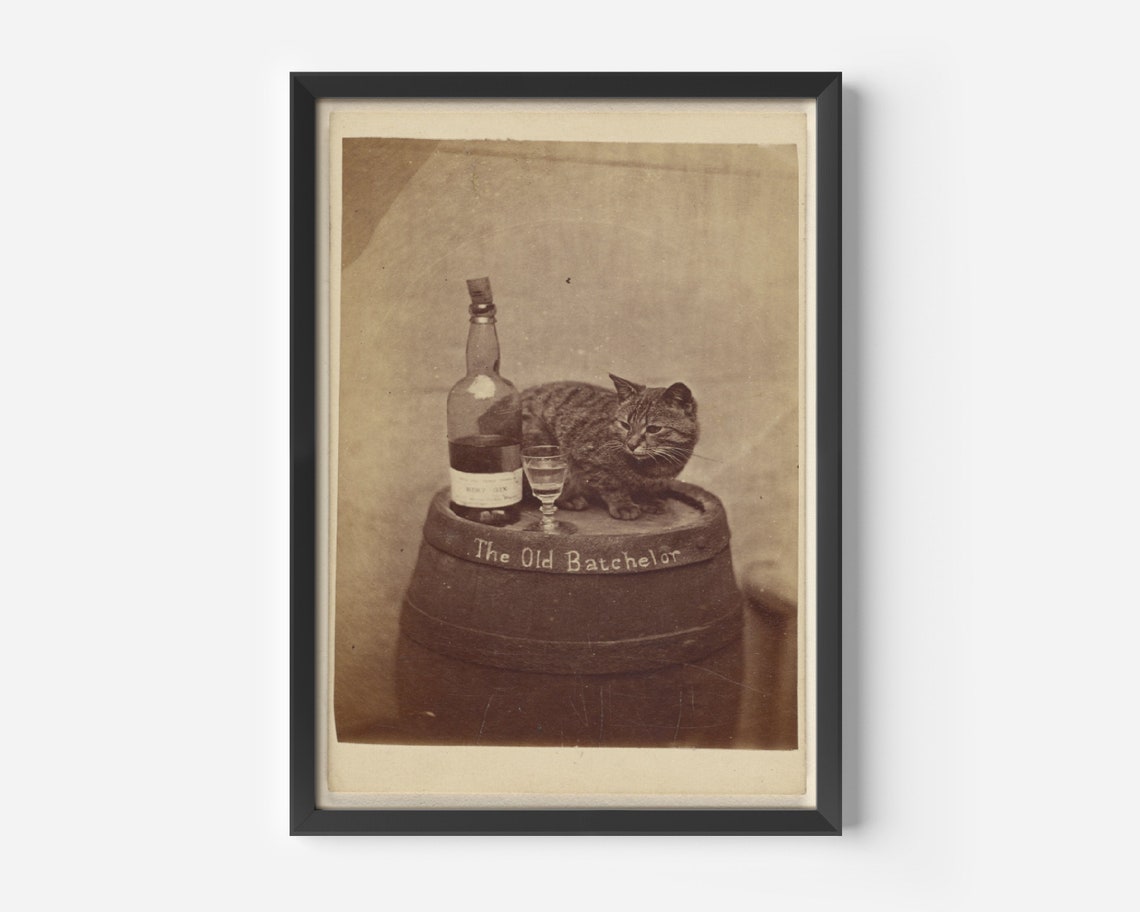 Funny Cat Bar Poster, Old Book Cover Poster Print - Image 2