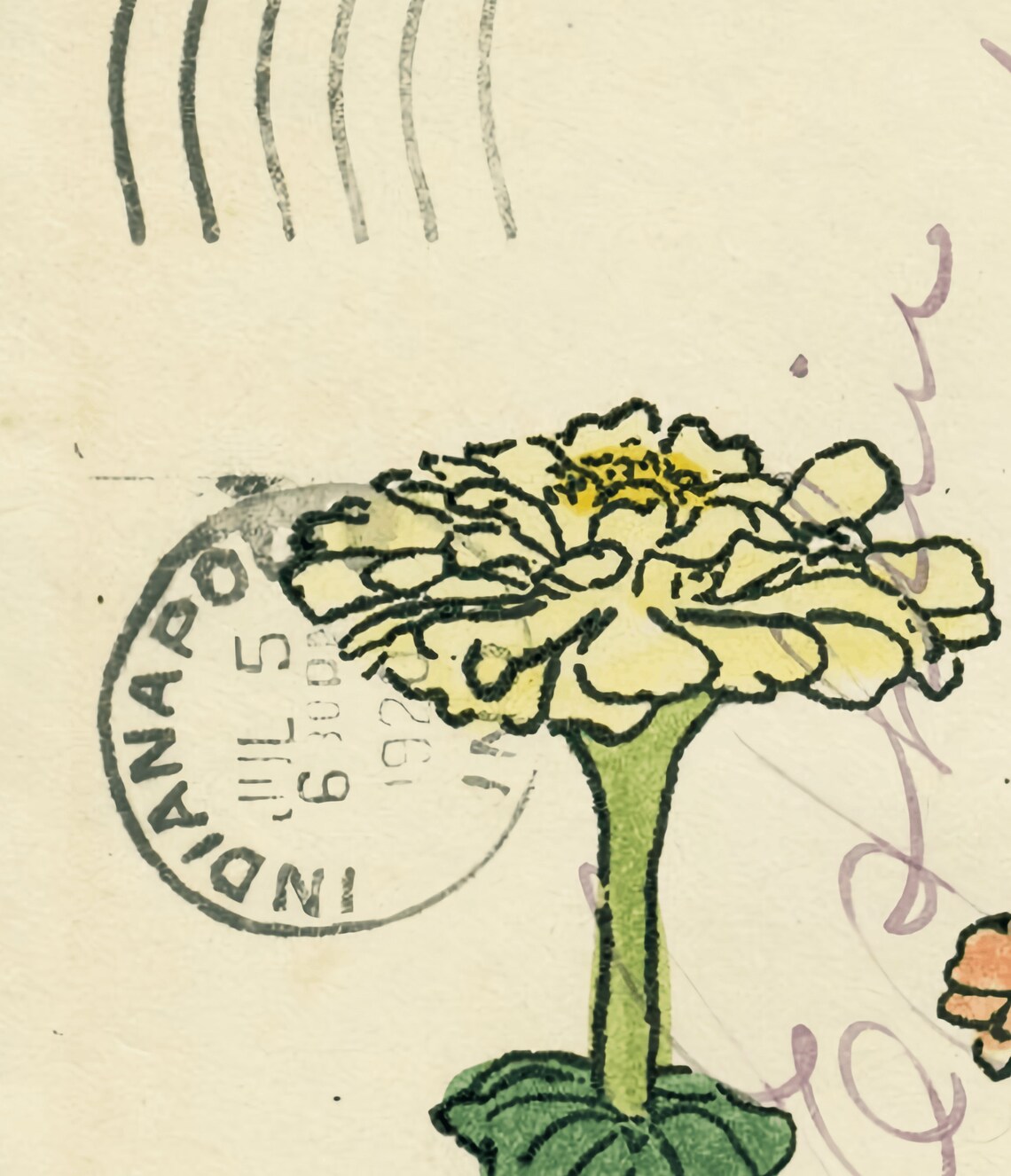 Vintage Flower Postcard Botanical Art Print, Farmhouse - Image 2