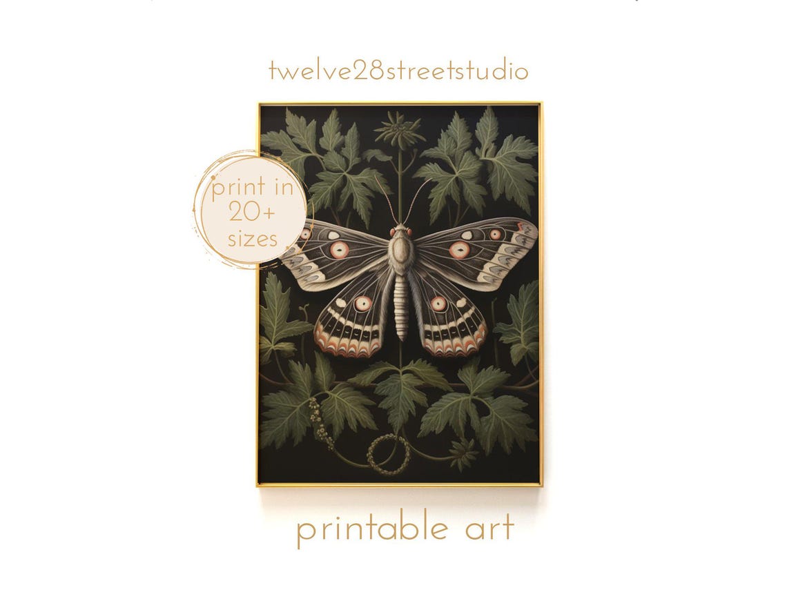 Botanical Moth Art Instant Downloand Artwork Print In 20 Sizes Wall Art Vintage Wall Art Moody Wall Art