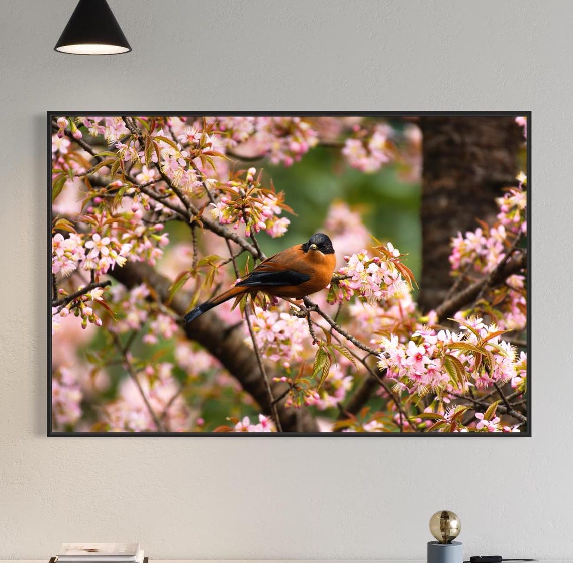 Small Orange Bird Perched on a Branch of Cherry Blossoms Poster