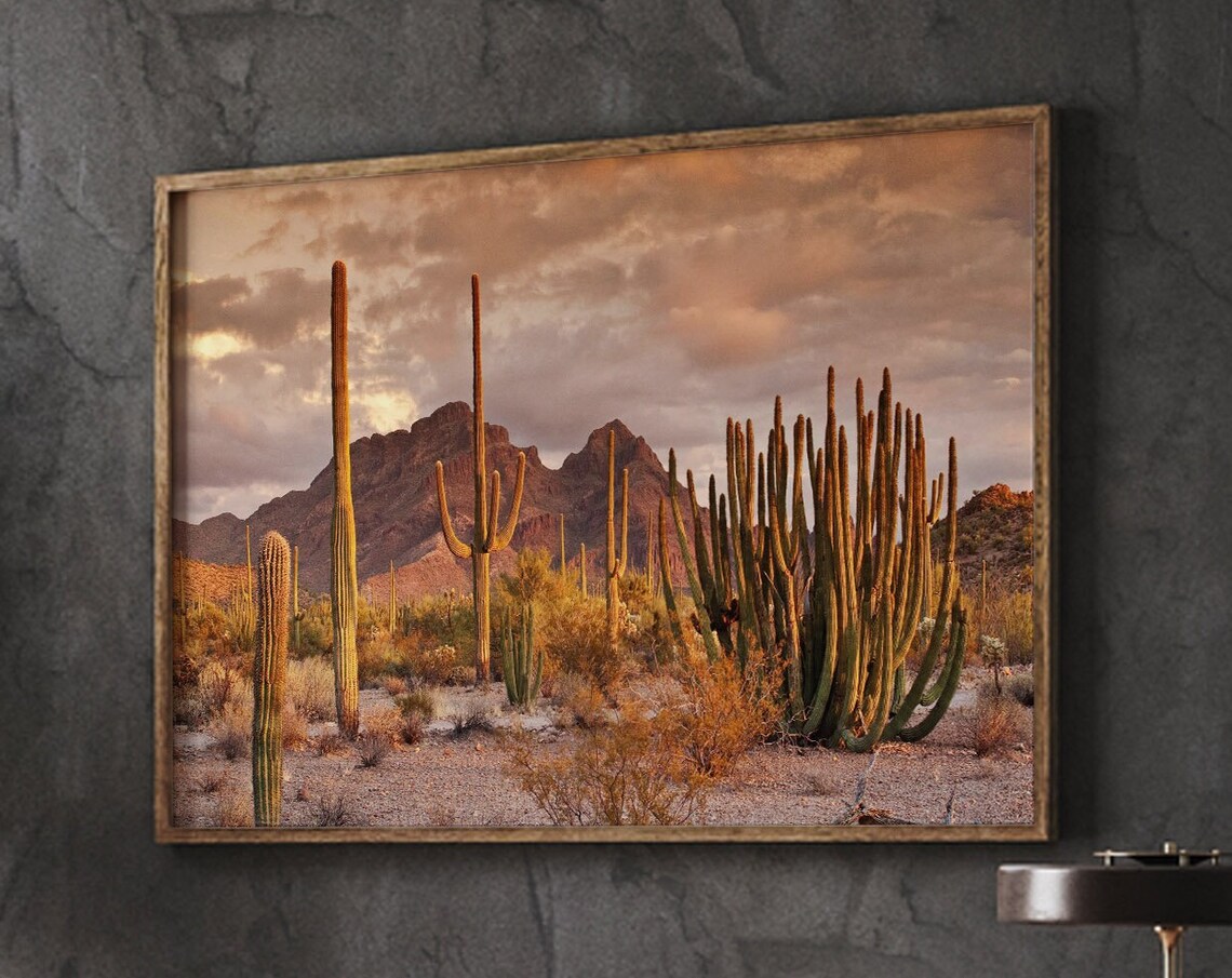 Southwestern Cactus Desert Landscape Wall Art Print