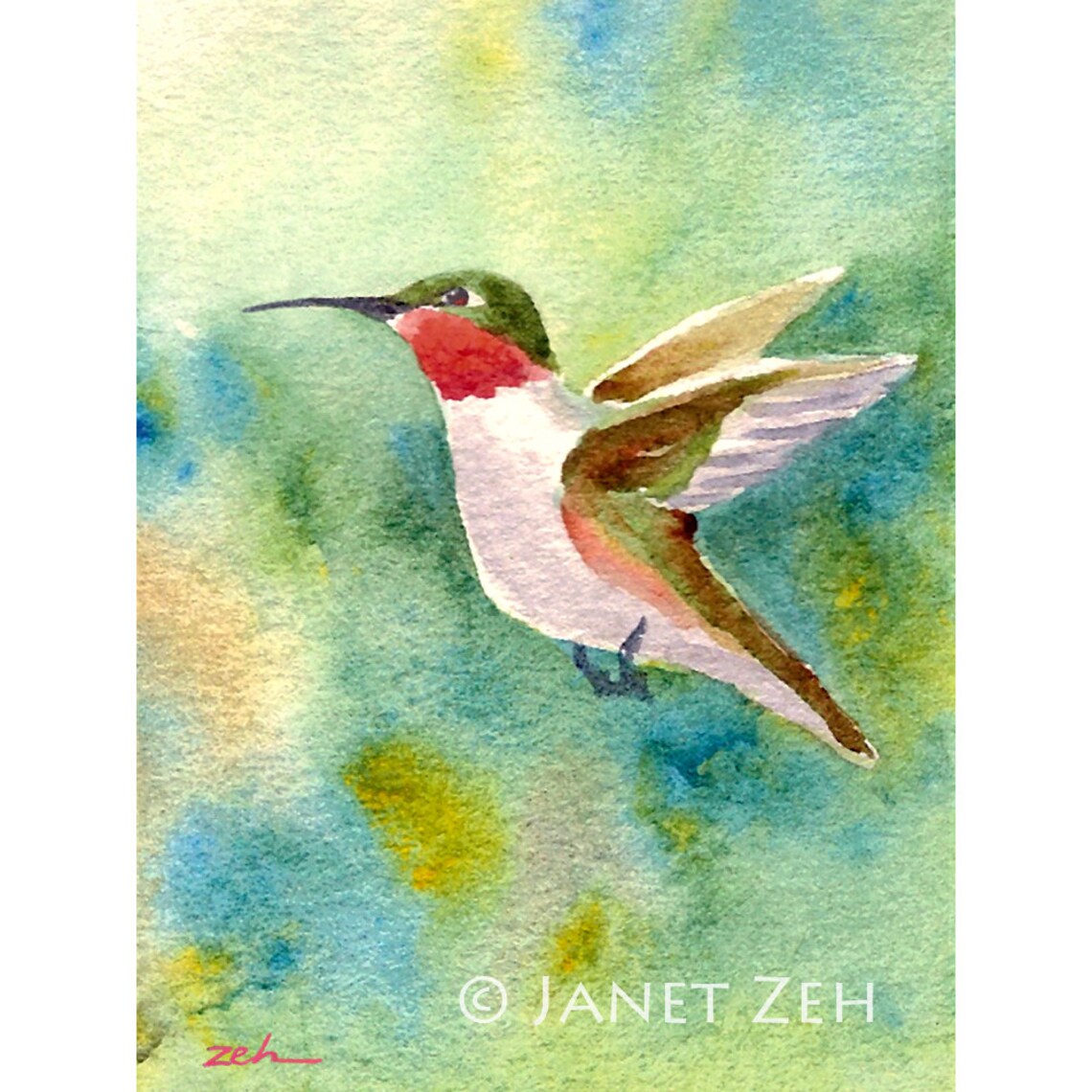 Hummingbird Watercolor by Janet Zeh, Bird Art Print