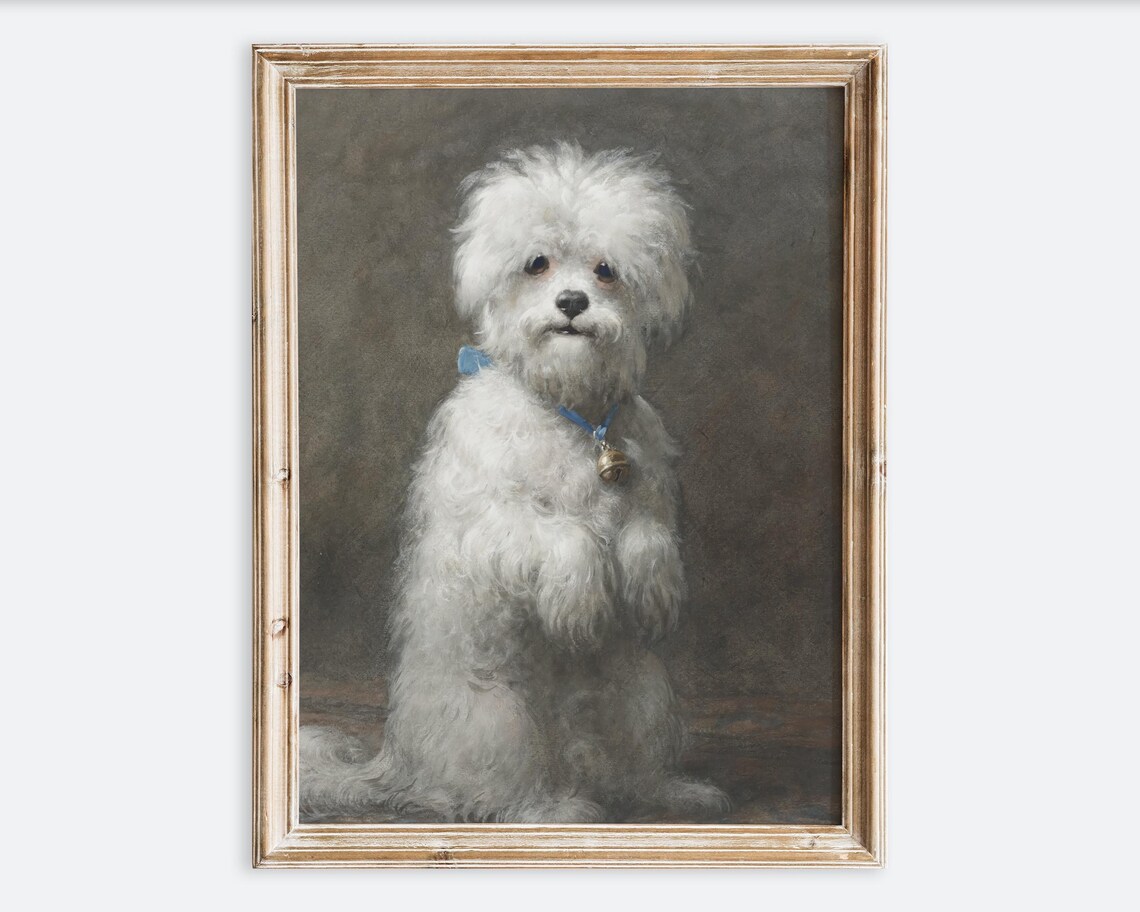 White Poodle Portrait with Blue Collar Vintage Dog Painting Poster