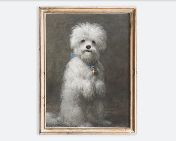 Vintage White Poodle Dog Sitting Up Painting Animal Portrait Wall Art Print Rustic Retro Farmhouse Antique Illustration Poster Vp292