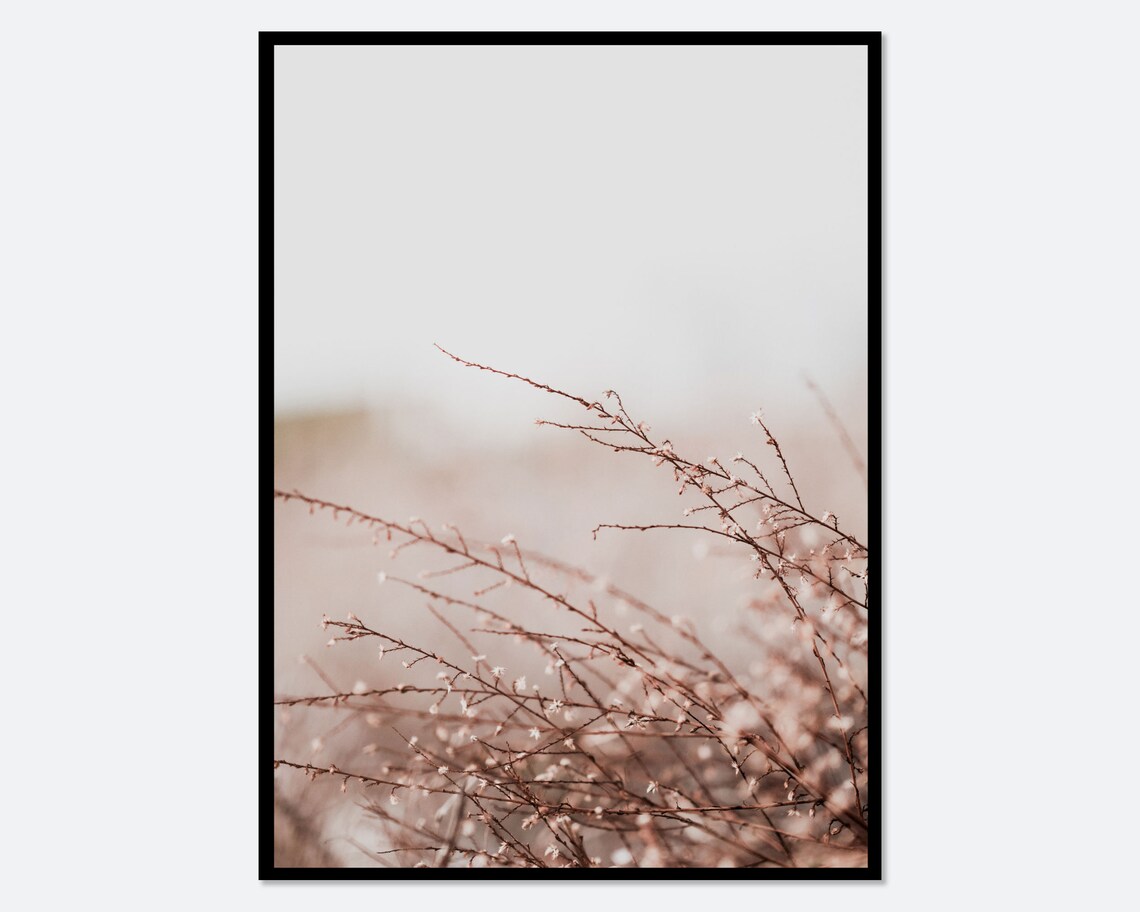 Delicate Blossom Branches Soft Focus Botanical Nature Photo Poster
