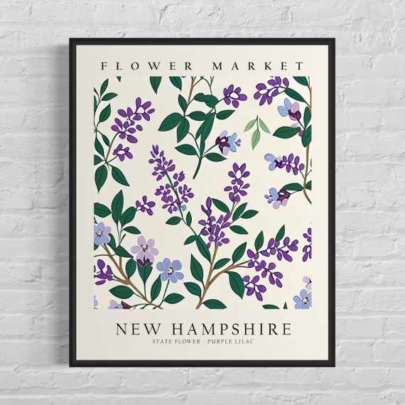 New Hampshire State Flower Lilac Botanical Art Print