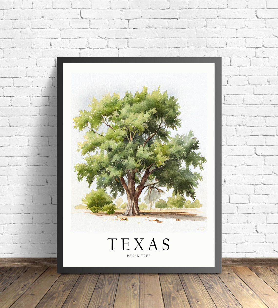 Texas Pecan Tree Watercolor Painting State Tree Botanical Art Print