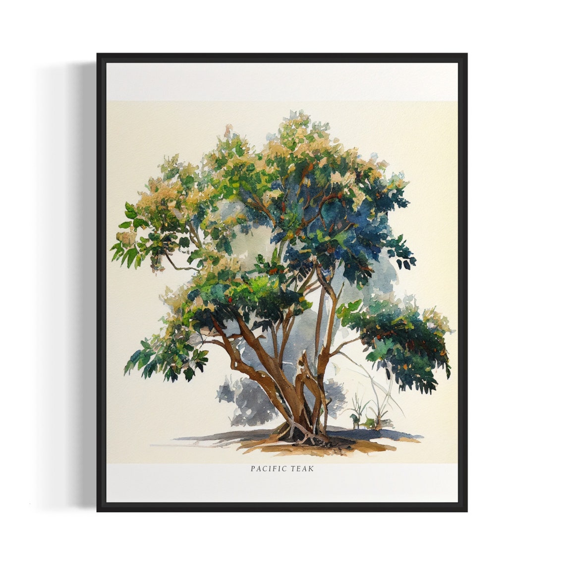 Pacific Teak Tree Art Print Pacific Teak Tree Wall Art Poster