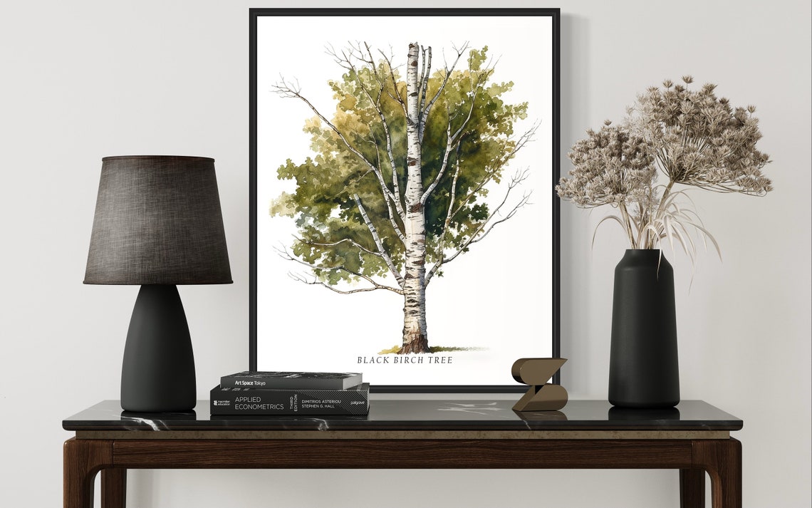 Black Birch Tall Tree Watercolor White Bark Botanical Poster - Image 2