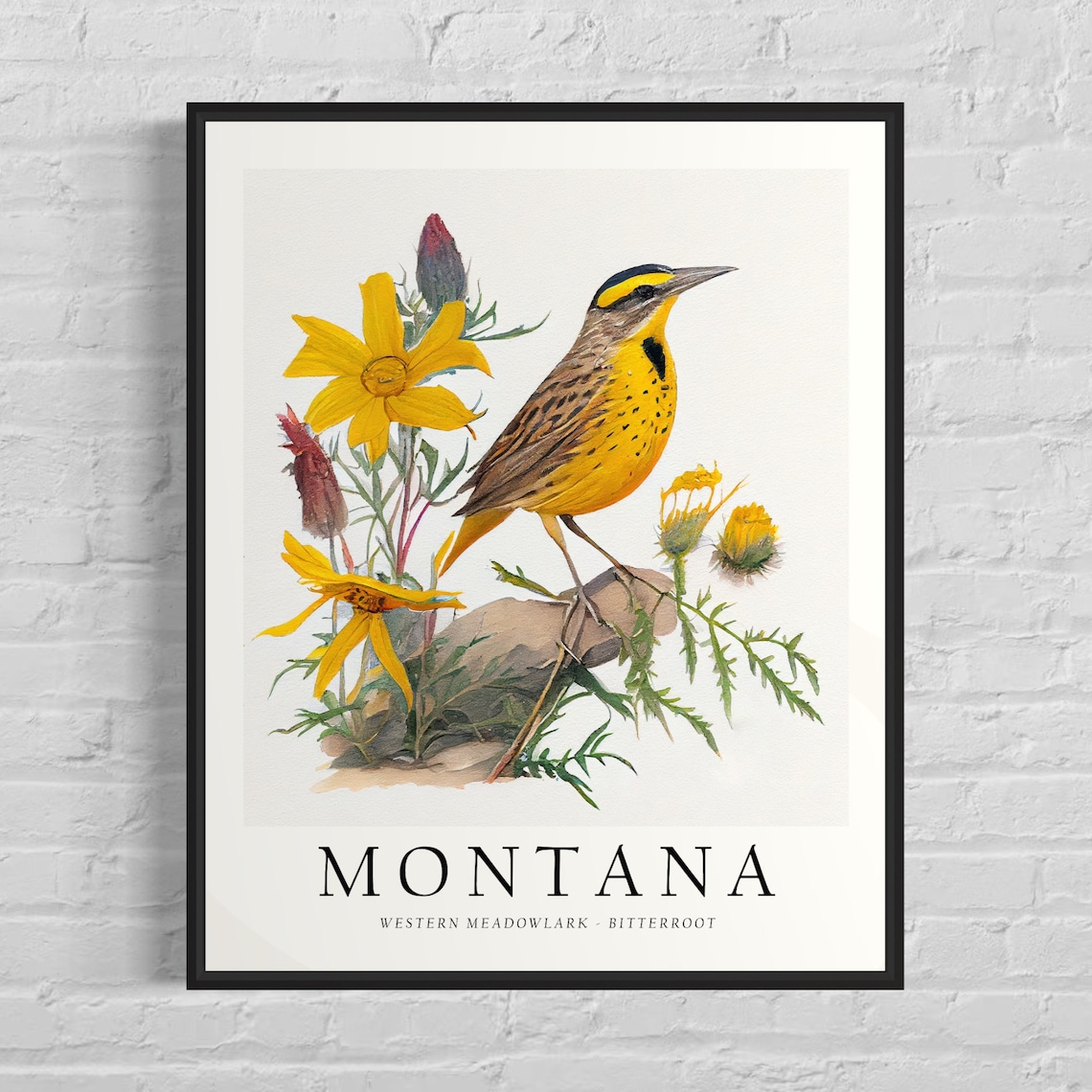Montana State Bird Art Print, State Flower Decor