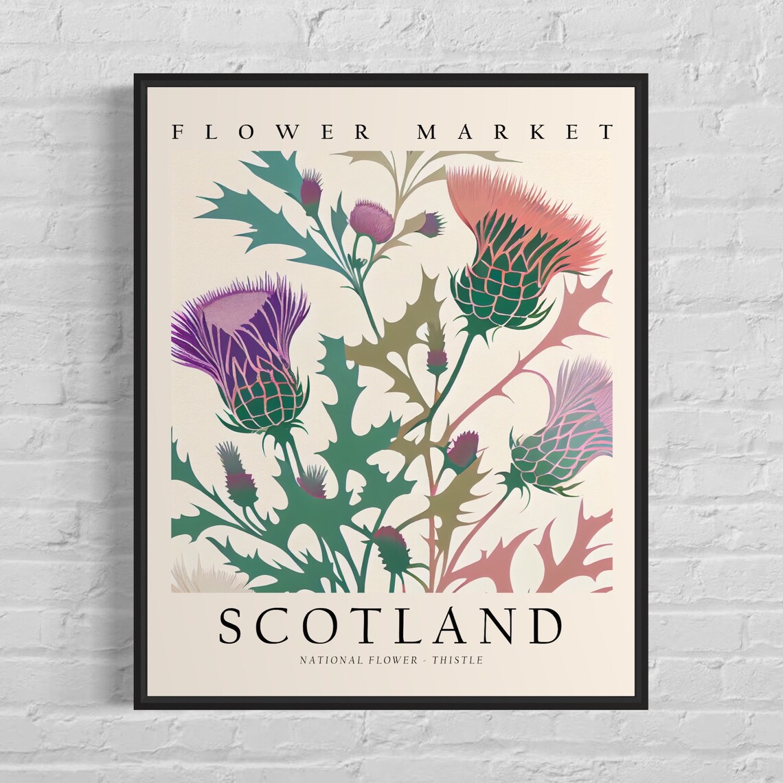 Scotland National Flower, Thistle 1960s Botanical Art Print