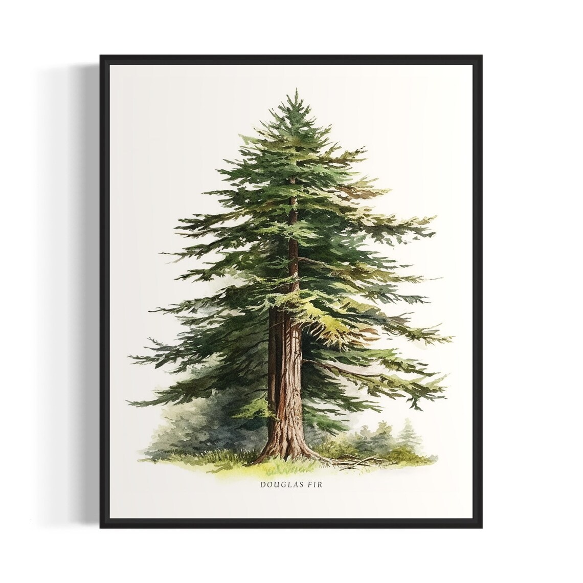 Douglas Fir Tree Art Print, Forest Wall Decor