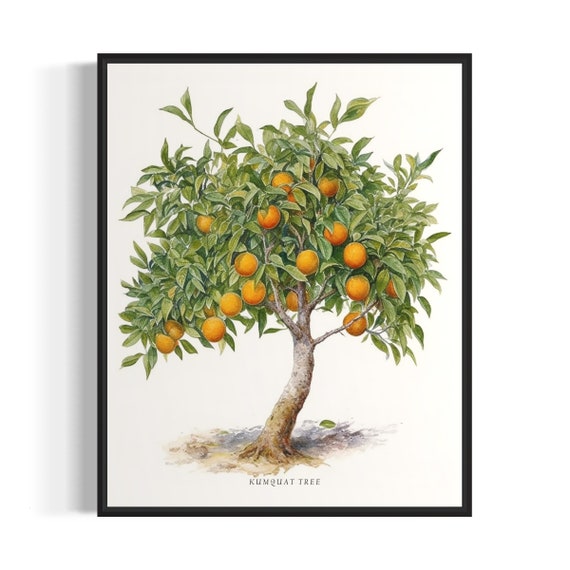 Kumquat Tree Art Print Kumquat Tree Wall Art Poster