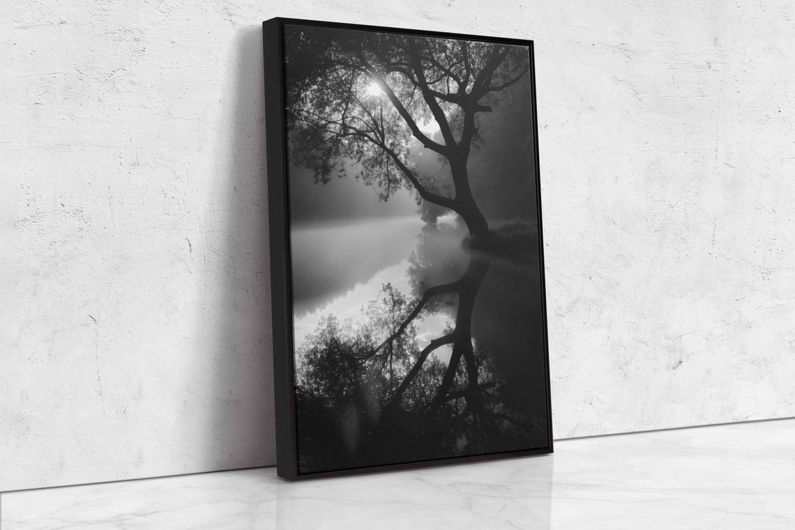Moonlit Tree Overhanging Lake Reflection Black And White Nature Poster - Image 4