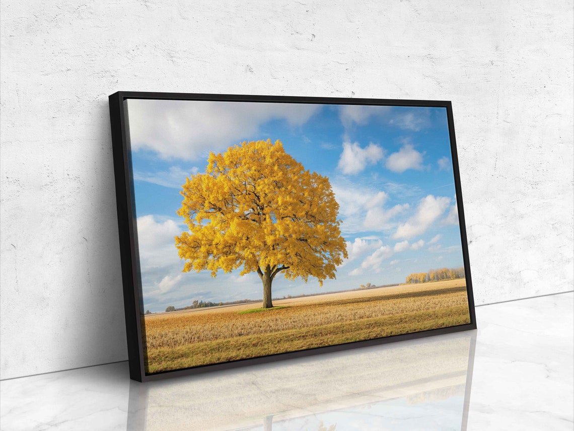 Lone Golden Tree In Open Field Under Blue Sky Nature Photo Poster - Image 4