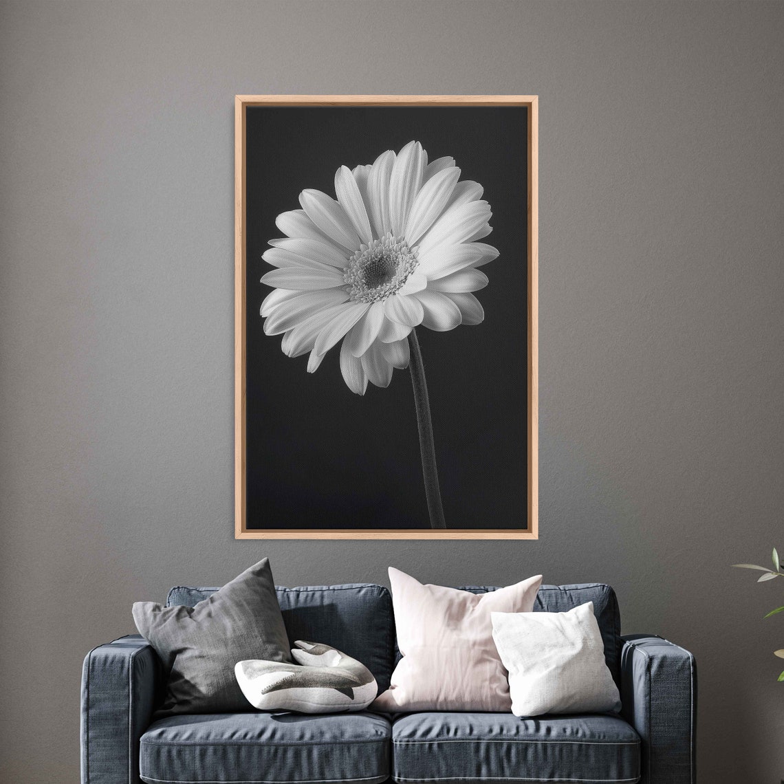 Monochrome Daisy Close Up White Flower Black Background Art Print