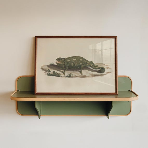 Chameleon Print Wildlife Animal Antique Painting Vintage Poster Wall Art Decor Lover Gift Illustration