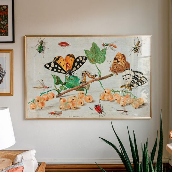 Insects And Fruits By Jan Van Kessel Vintage Insect Poster Science Textbook Wall Art Illustration Bedroom Decor Large