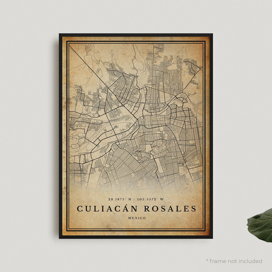 Culiacan Rosales Mexico Vintage Street Map Retro City Plan Poster