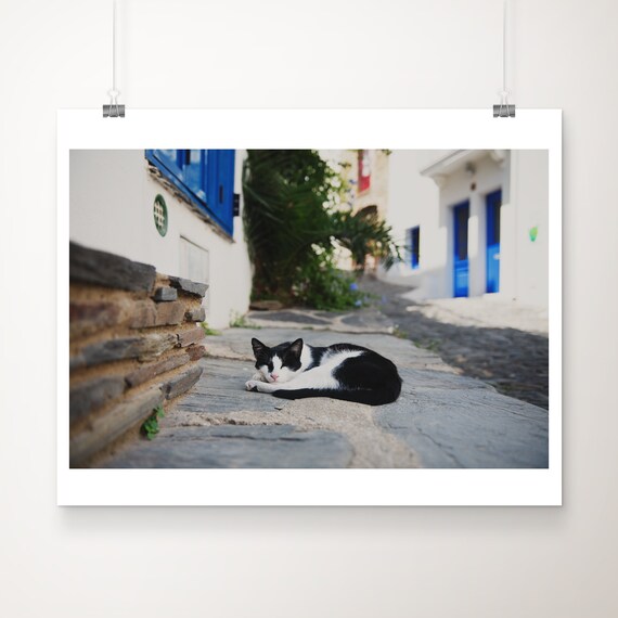 Tuxedo Cat Napping on Cadaqus Spain Cobblestone Street Poster