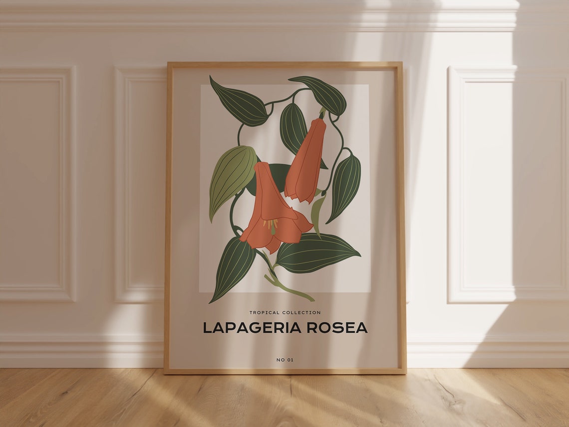 Lapageria Rosea Tropical Collection Botanical Study Wall Poster