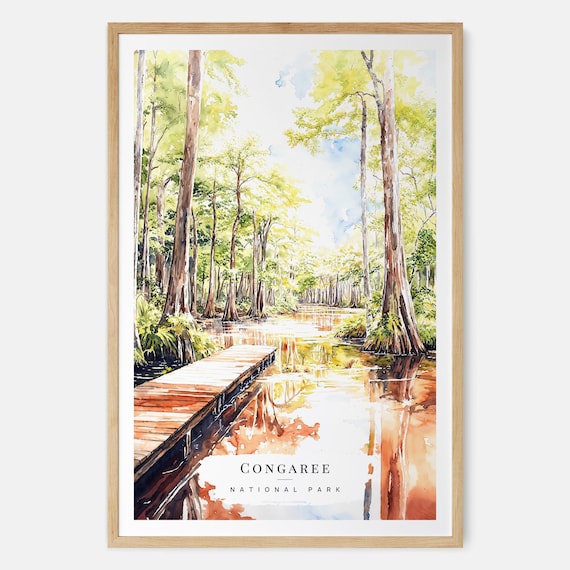 Congaree National Park South Carolina Cypress Swamp Watercolor Poster