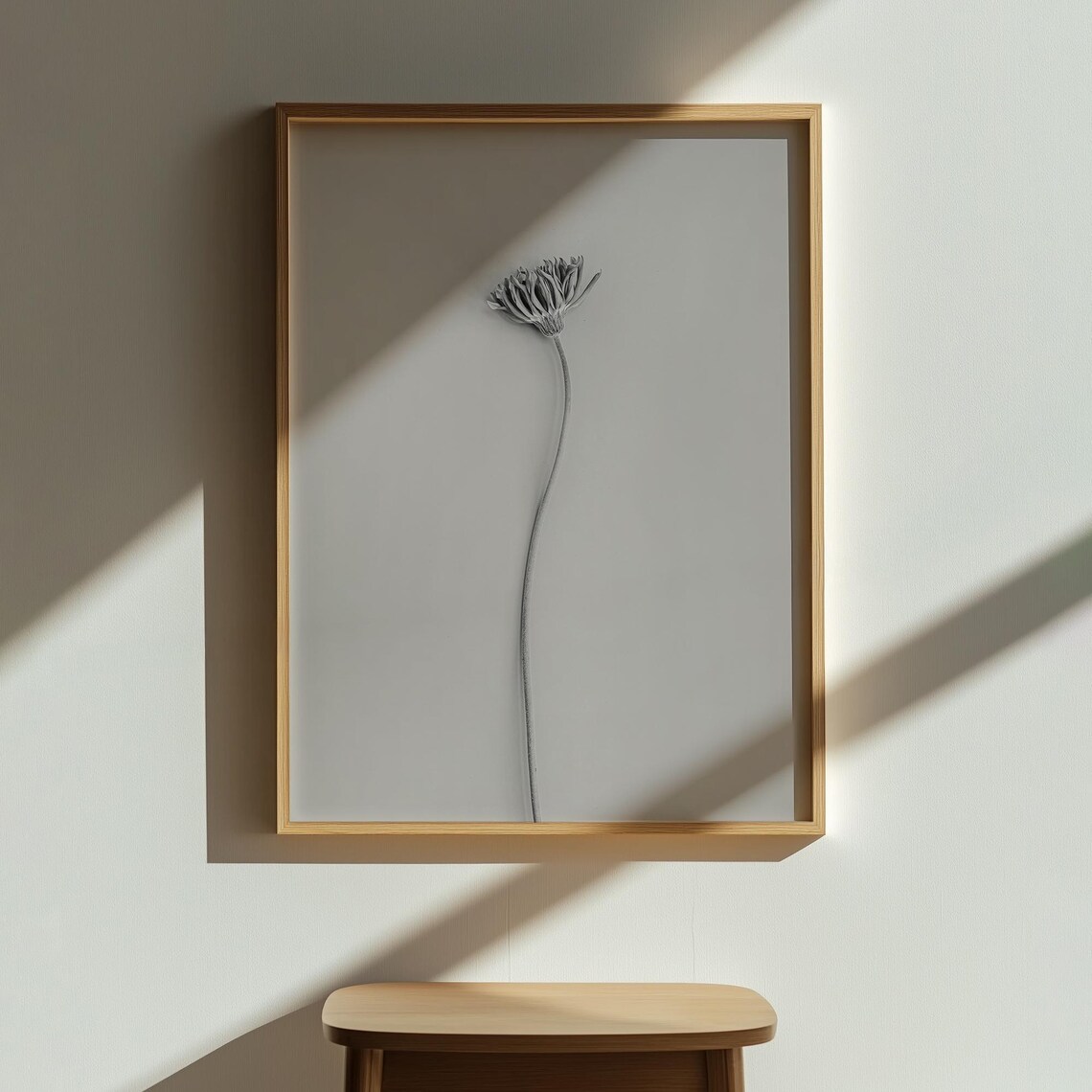 Minimalist Dried Daisy Wall Art Print, Botanical