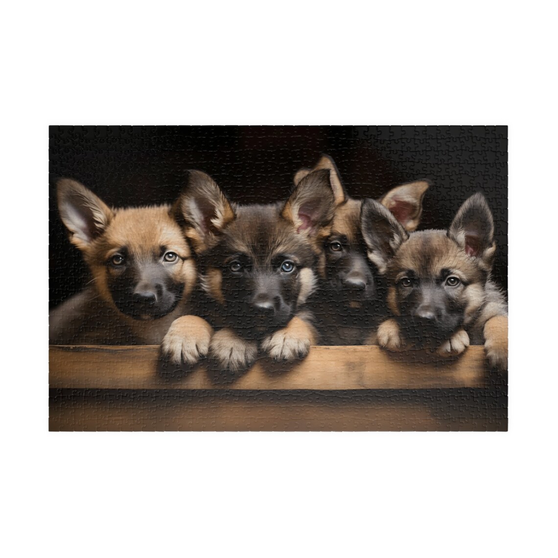 Four Cute German Shepherd Puppies Looking over a Wooden Ledge Poster - Image 3