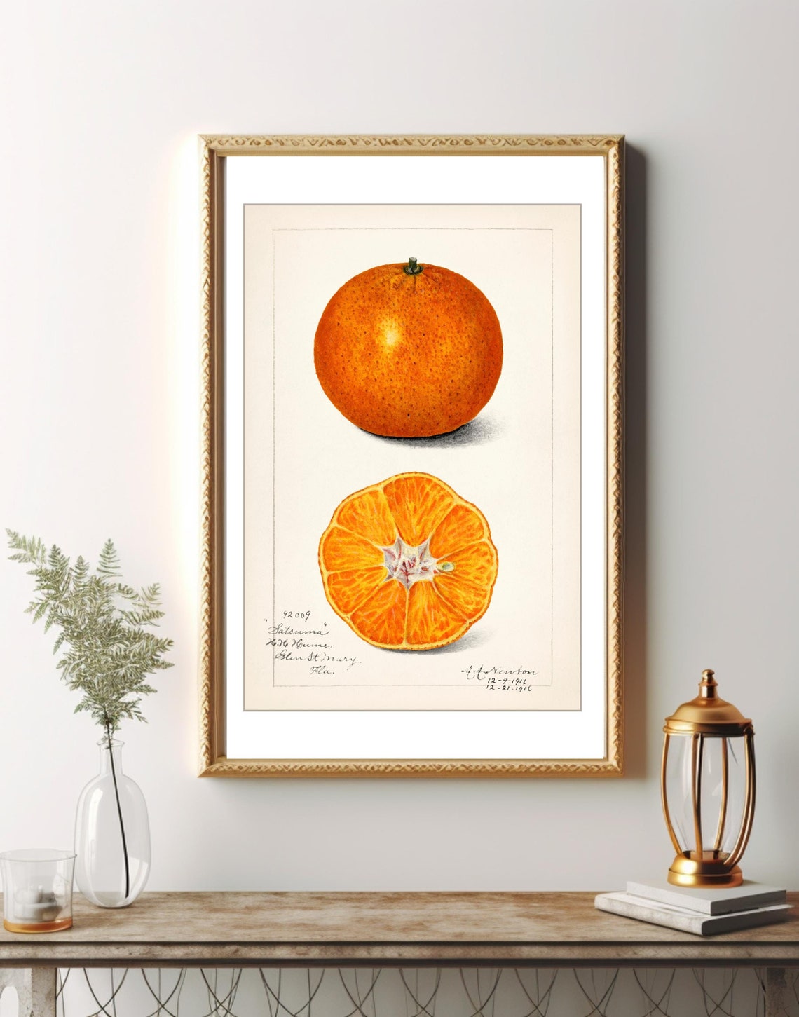 Vintage Orange Print, Kitchen Botanical Decor