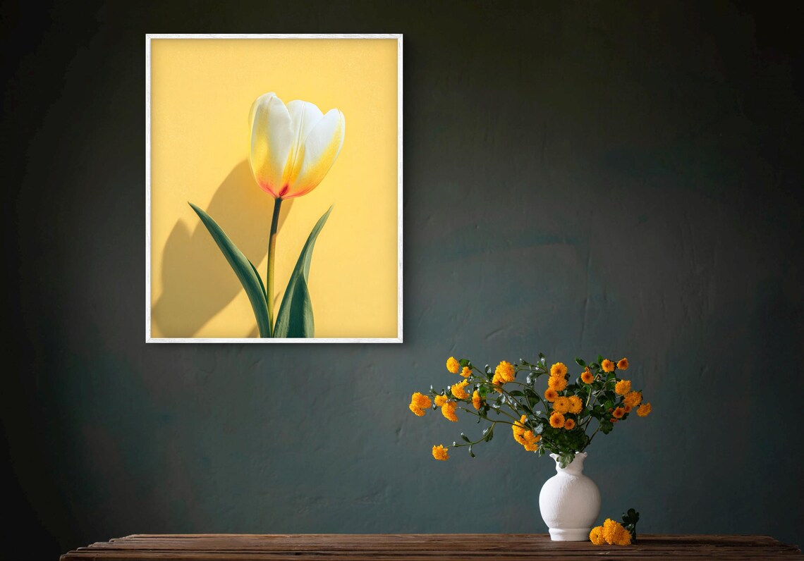 Single White Tulip On Yellow Minimalist Floral Photography Poster