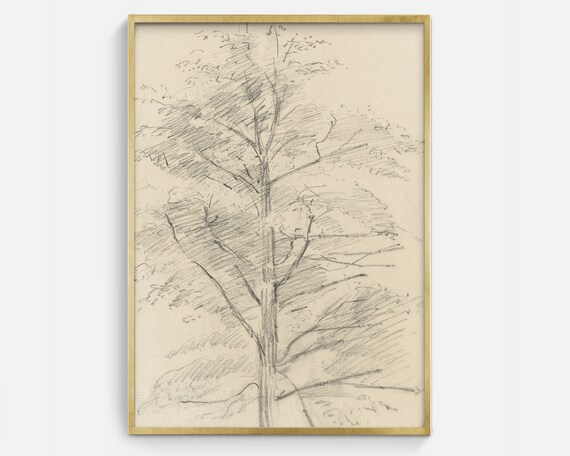 Vintage Tree Sketch, Antique Nature Drawing