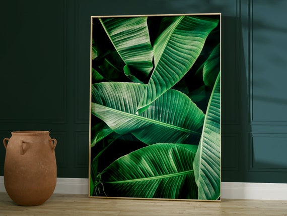 Emerald Green Banana Leaf Botanical Art Print