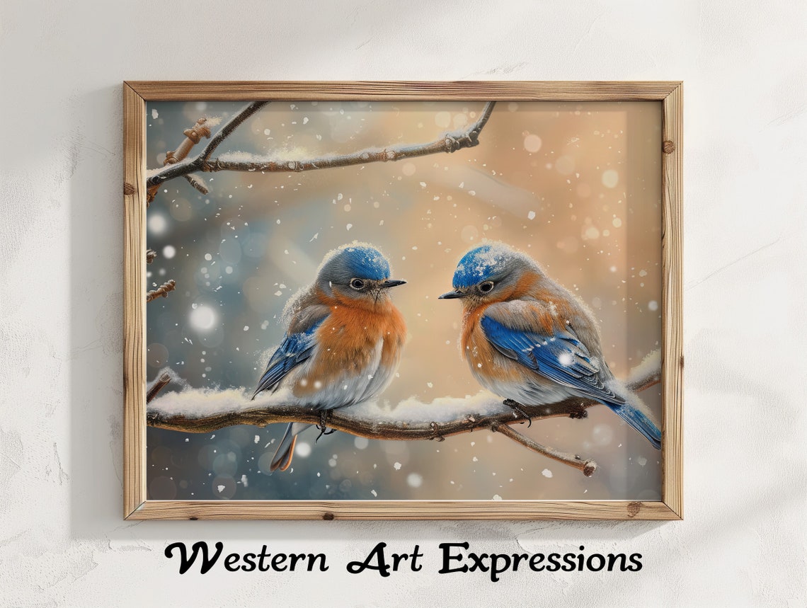 Two Eastern Bluebirds Perched on a Snowy Winter Branch Art Poster