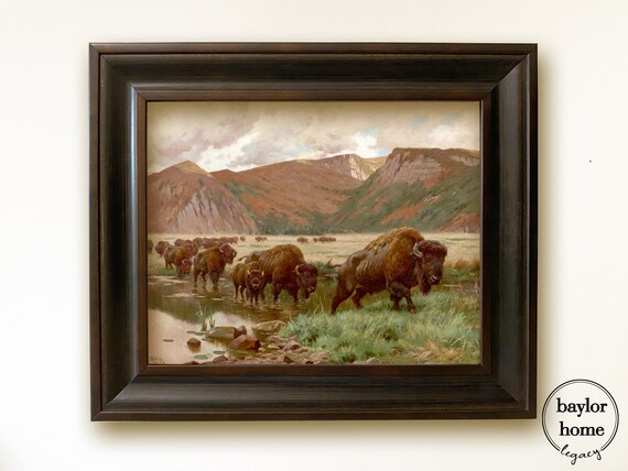 Herd Of Buffalo Crossing Stream At Red Mountains Vintage Wildlife Poster