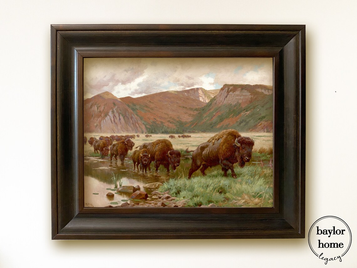 Herd Of Buffalo Crossing Stream At Red Mountains Vintage Wildlife Poster