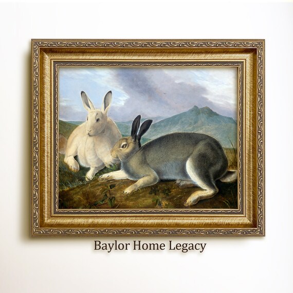Two Hares Resting In Mountain Meadow Vintage Rabbit Wildlife Art Poster