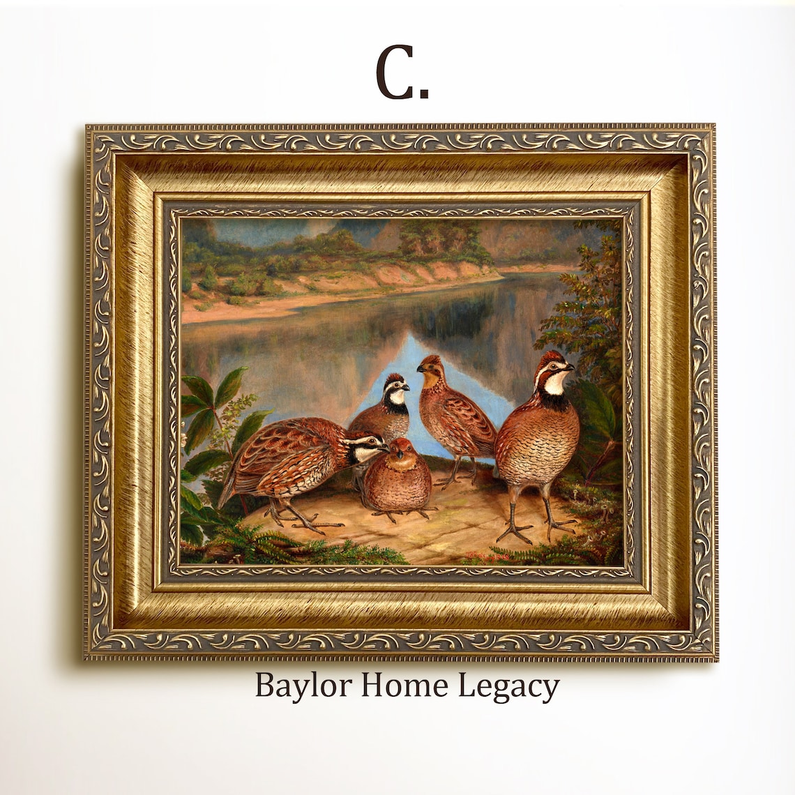 Bobwhite Quail River Landscape Oil Painting Art Print - Image 3