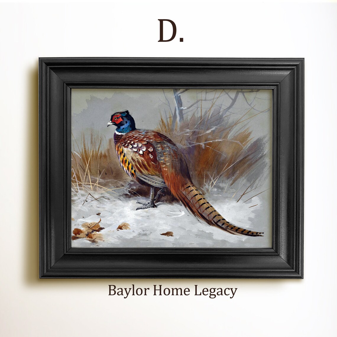 Ring-Neck Pheasant Vintage Bird Landscape Art Print - Image 2