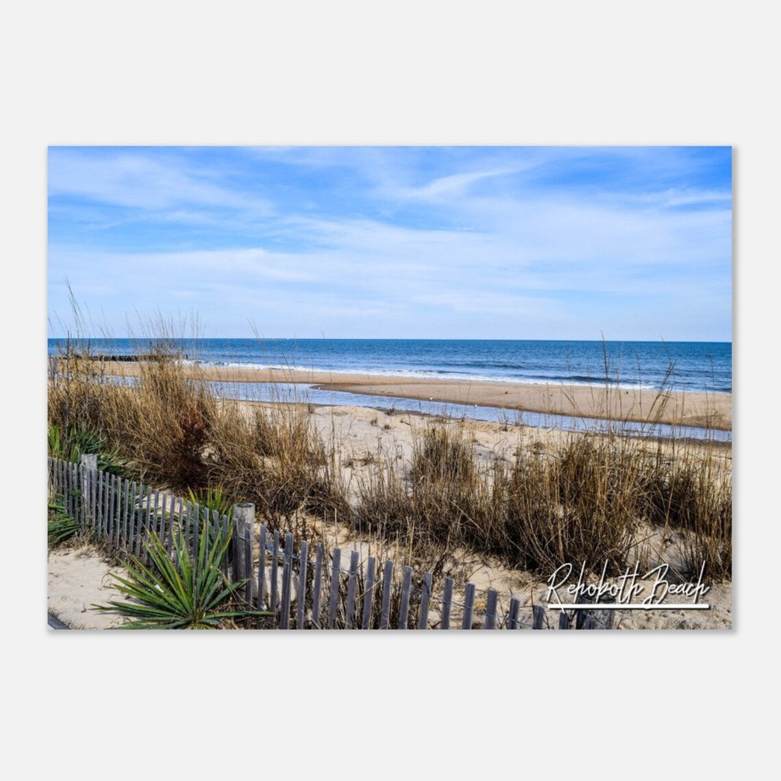 Rehoboth Beach Delaware Sand Dune Fence Coastal Photo Poster