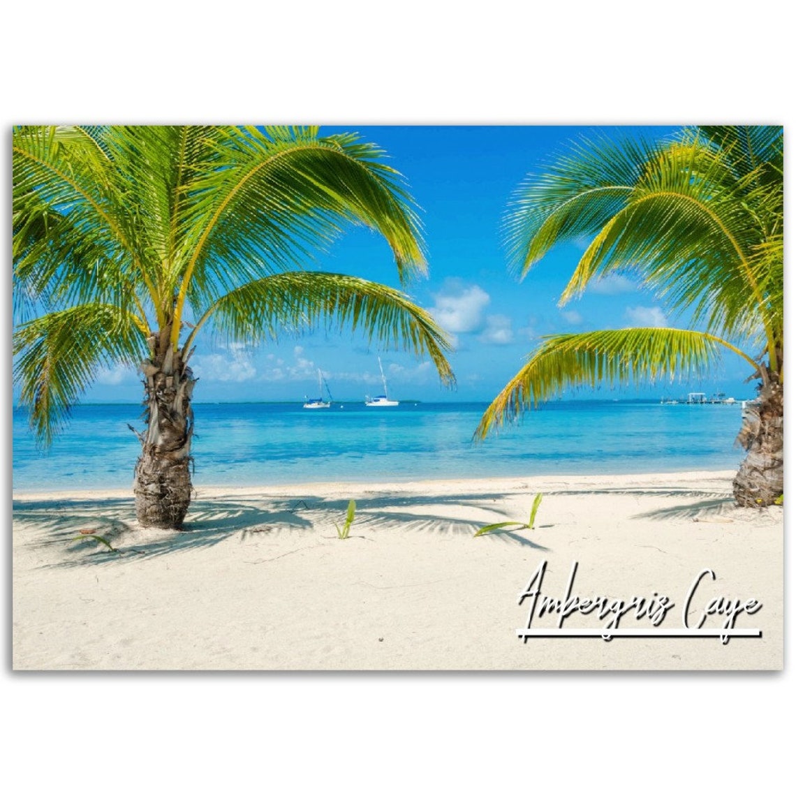 Ambergris Caye Belize Palm Beach Tropical Island Travel Poster