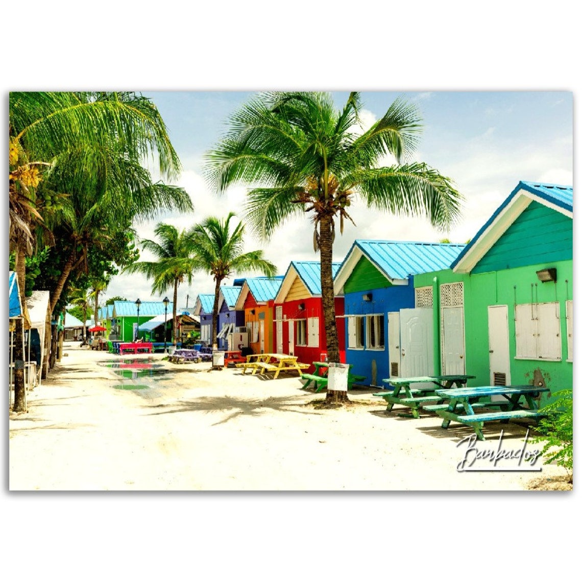 Barbados Colorful Beach Huts Palm Trees Sandy Shore Travel Poster