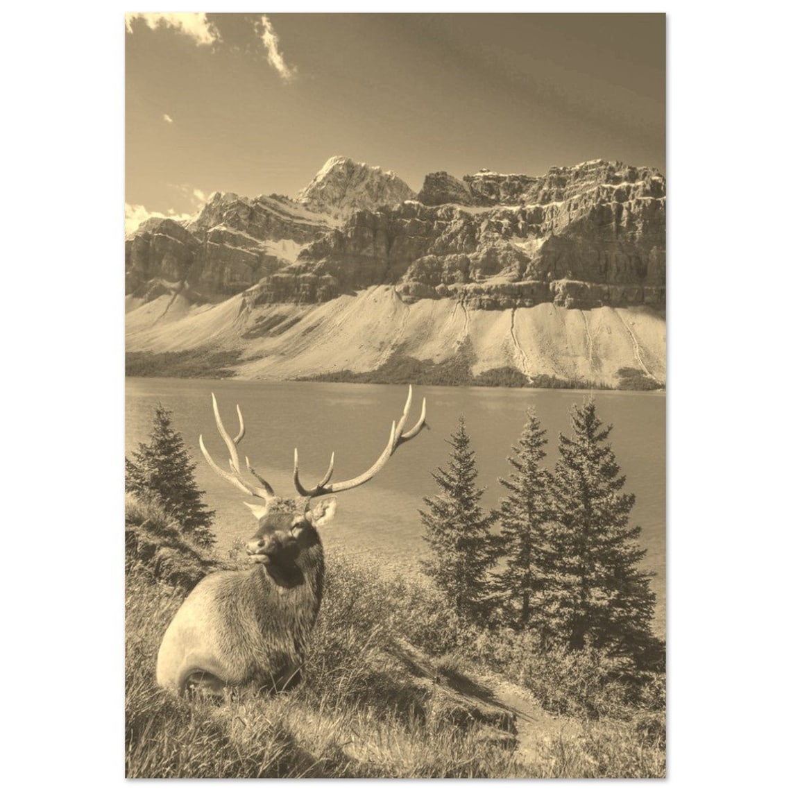 Banff National Park Elk Lake Mountain Sepia Wildlife Travel Poster