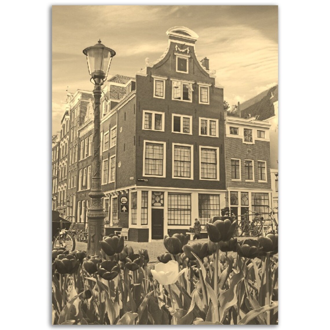 Amsterdam Netherlands Vintage Sepia Canal House Tulips Photo Poster